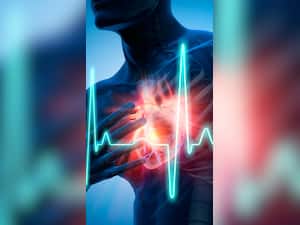 Cardiovascular Disease Risk: Unhealthy Habits, High BMI And Stress Levels