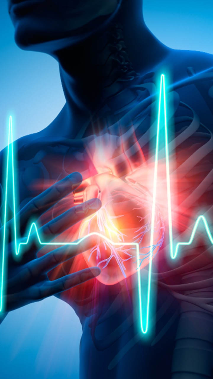 Cardiovascular Disease Risk: Unhealthy Habits, High BMI And Stress Levels