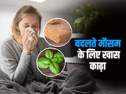बदलते मौसम में बार-बार बीमार पड़ने वाले पीएं तुलसी और गुड़ का काढ़ा, इस समय पीएंगे तो तुरंत मिलेगा आराम
