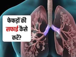 फेफड़ों में जमा गंदगी को खींचकर बाहर कर देते हैं ये 10 सुपरफूड, जानिए फेफड़ों की सफाई कैसे करें