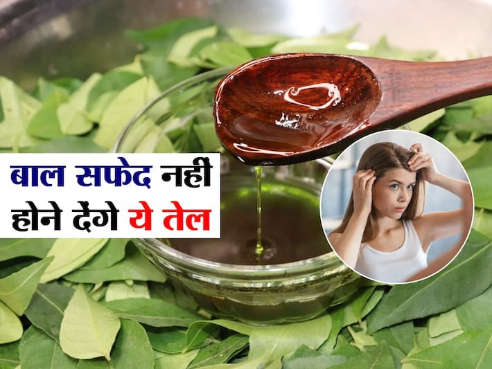 White hair prevention: महंगे तेल छोड़ बालों में लगाएं ये 5 नेचुरल तेल, उम्र से पहले नहीं होंगे बाल सफेद हिंदी White hair prevention: महंगे तेल छोड़ बालों में लगाएं ये 5 नेचुरल तेल, उम्र से पहले नहीं होंगे बाल सफेद हिंदी