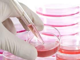 5 Benefits Of Stem Cells Banking: Here s Why You Need To Seriously Consider It 5 Benefits Of Stem Cells Banking: Here s Why You Need To Seriously Consider It