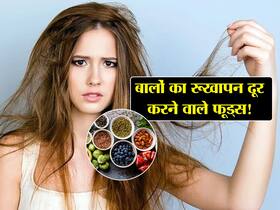 तेल लगाने से भी नहीं गई बालों की ड्राईनेस? इन 4 फूड्स का सेवन लौटाएगा बालों की नमी और ड्राईनेस करेगा दूर