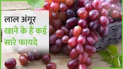 Benefits of Red Grapes: जानिए लाल अंगूर खाने से शरीर को मिलते हैं ये फायदे, Watch Video