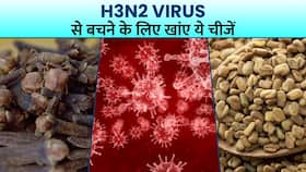 H3N2 Virus से बचना चाहतें हैं तो आज ही Diet में शामिल करें ये हेल्दी चीजें, Watch Video