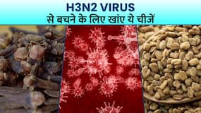 H3N2 Virus से बचना चाहतें हैं तो आज ही Diet में शामिल करें ये हेल्दी चीजें, Watch Video