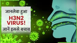Alert! तेजी से बढ़ रहे हैं H3N2 वायरस के मामले, डॉक्‍टर कर रहे सतर्क, Watch Video