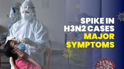 H3N2 Symptoms: Rise In The Cases Of H3N3 Flu & Covid-19, Hospitals On Alert, Watch Video