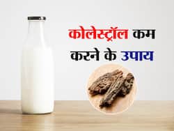 कोलेस्ट्रॉल से परेशान हैं तो दूध में डालकर पिएं ये 1 आयुर्वेदिक जड़ी-बूटी, खुल जाएगी शरीर की सारी नसें