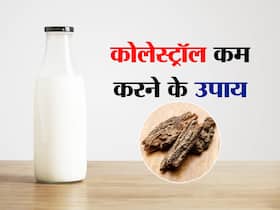 कोलेस्ट्रॉल से परेशान हैं तो दूध में डालकर पिएं ये 1 आयुर्वेदिक जड़ी-बूटी, खुल जाएगी शरीर की सारी नसें