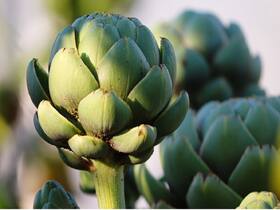 Benefits Of Eating Artichokes
