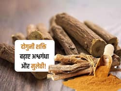 अश्वगंधा और मुलेठी के सेवन से शरीर को मिलेगी दोगुनी ताकत, एक्सपर्ट से जानिए फायदे और सेवन का सही तरीका