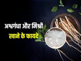 ब्लड शुगर से लेकर खांसी की परेशानी दूर करे अश्वगंधा और मिश्री, आयुर्वेदाचार्य से जानिए सेवन का सही तरीका