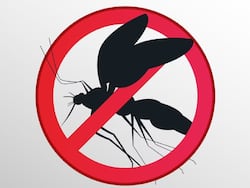 WHO Declares Azerbaijan, Tajikistan Malaria-Free