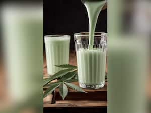 Bhang Recipes For Holi 2023: Thandai To Gujiya, 10 Recipes You Must Try