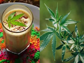 Bhang Offers Numerous Health Benefits, But Dosage Matters: Get The Dose Right