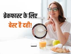 शरीर को ठंडा रखने के लिए गर्मियों में रोजाना ब्रेकफास्ट में खाएं दहीं, मिलेंगे कई अन्य फायदे