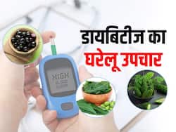 नीम, करेला, जामुन का ये उपाय डायबिटीज को कर देता है जड़ से खत्म, कंट्रोल रहता है शुगर लेवल