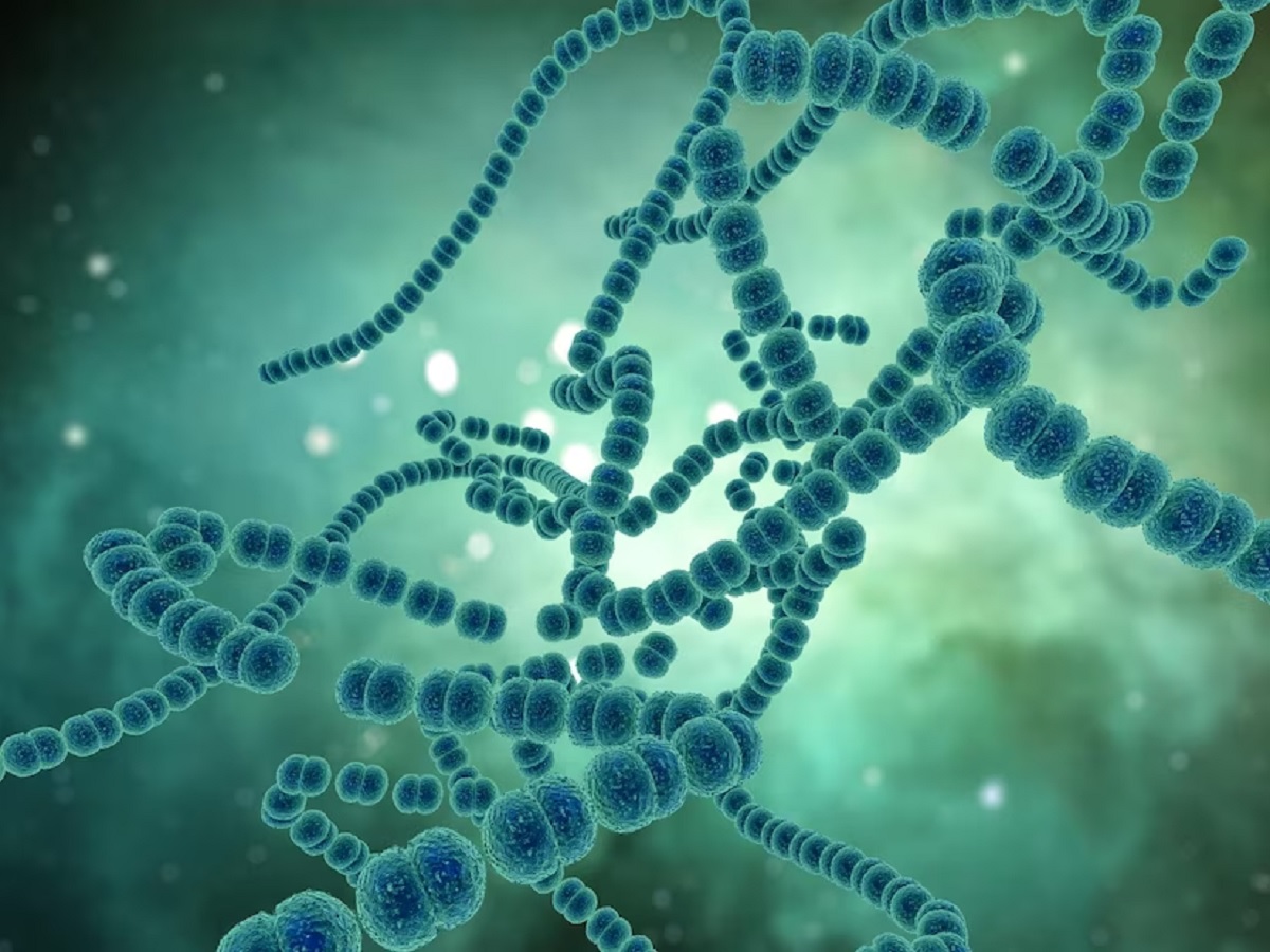 8 Bacterial Infections Caused By Group A Strep