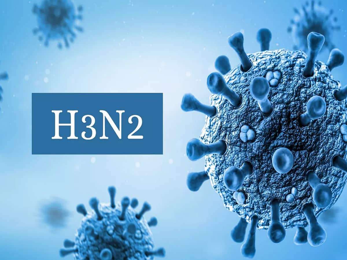 H3N2 Spreading Rapidly In India Who Is At Risk, How Long Does The