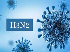 H3N2 Spreading Rapidly In India: Who Is At Risk, How Long Does The Infection Last? H3N2 Spreading Rapidly In India: Who Is At Risk, How Long Does The Infection Last?