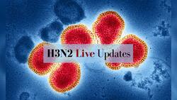 H3N2 Virus Spreading Rapidly In India: Delhi Put On High Alert, Govt Issues Fresh Advisory