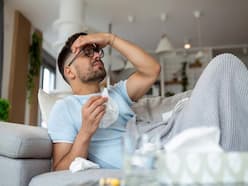 Impact On H3N2 Influenza On Male Fertility