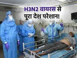 H3N2 वायरस के अटैक से पूरा देश परेशान, 90 लोगों में एक जैसे लक्षण, जानिए कितना खतरनाक है ये फ्लू