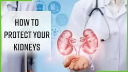 How To Protect Your Kidney From Getting Damaged?