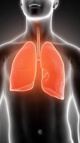 Top 8 Vegan Superfoods For Your Lungs