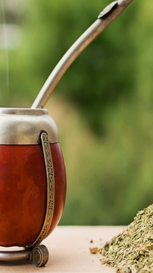 Yerba Mate Wellness Tea: An Extremely Healthy Infusion