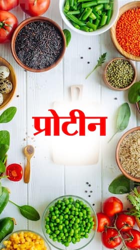 Highest Protein Foods: वेट लॉस के लिए खाएं प्रोटीन से भरपूर ये 8 फूड्स