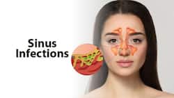 Sinus Infections: Are They Contagious? Common Myths Busted