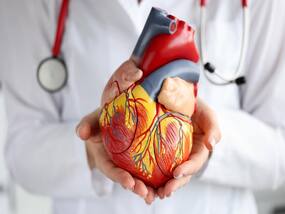 What You Know About Heart Attack? Test Your Knowledge