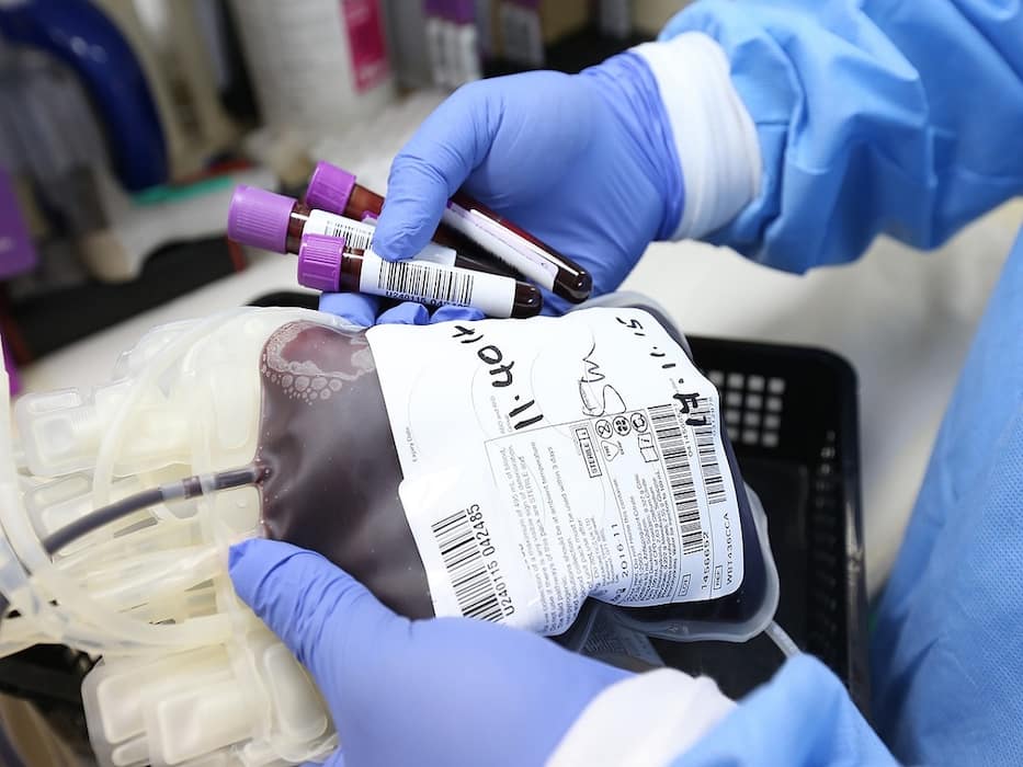 World Organ Donation Day 2024: Busting 4 Myths About Organ Donation