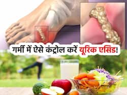 गर्मियों की इन 5 चीजों से यूरिक एसिड को करें छूमंतर, जोड़ों में दर्द और किडनी की समस्याओं से भी मिलेगी राहत