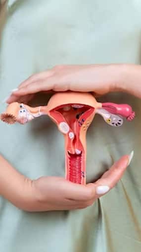 Vaginal Dryness  : वेजाइनल ड्राईनेस कम करने के उपाय