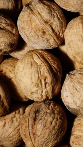 10 Must-Know Health Benefits Of Walnuts 10 Must-Know Health Benefits Of Walnuts