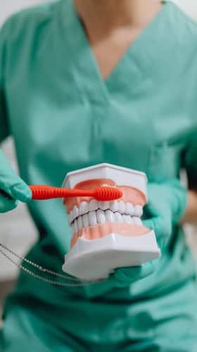 What Teeth Brushing Basics Do You Need to Brush On?
