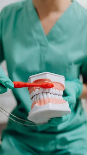 What Teeth Brushing Basics Do You Need to Brush On?