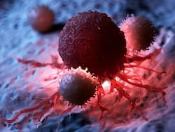 Cancer Prevention And Early Detection: Why It is different for Men And Women