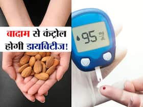 खाना खाने के बाद भी नहीं बढ़ेगा ब्लड शुगर! नाश्ते,लंच-डिनर से 30 मिनट पहले ये ड्राई फ्रूट करेगा कमाल खाना खाने के बाद भी नहीं बढ़ेगा ब्लड शुगर! नाश्ते,लंच-डिनर से 30 मिनट पहले ये ड्राई फ्रूट करेगा कमाल