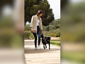 7 Ways To Make Sure You Are Active During The Day