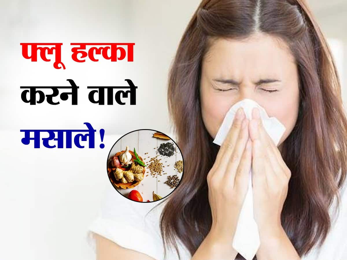 Spices for Flu फ्लू के लक्षणों को कम करने का काम करते हैं रसोई में
