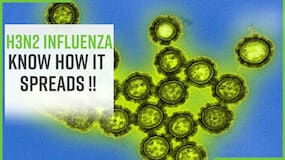 H3N2 Influenza: Find Out How The H3 Virus Symptoms Are Different From Covid, Watch Video