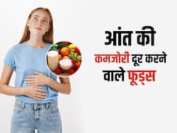 आंत की कमजोरी दूर करेंगे ये 5 फूड्स, बार-बार कब्ज या खराब पाचन से परेशान डाइट में जरूर शामिल करें ये चीजें
