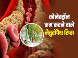 Allopath से Cholesterol घटाना हुआ मुश्किल? Naturopath के 4 उपाय बिना साइड-इफेक्ट्स घटाएंगे कोलेस्ट्रॉल लेवल
