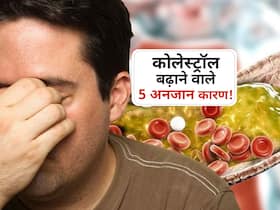 सोच से परे ये 5 चीजें बढ़ाती हैं खून में Bad Cholesterol! जानें तला-भुना न खाने के बाद क्यों बढ़ा कोलेस्ट्रॉल