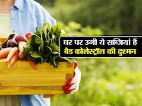 कोलेस्ट्रॉल नहीं बढ़ने देंगी घर में उगाई गई ये 5 सब्जियां, जानें कौन सी सब्जी सबसे ज्यादा फायदेमंद कोलेस्ट्रॉल नहीं बढ़ने देंगी घर में उगाई गई ये 5 सब्जियां, जानें कौन सी सब्जी सबसे ज्यादा फायदेमंद