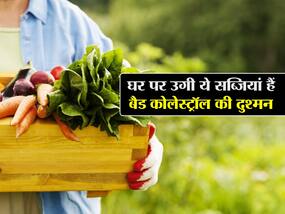 कोलेस्ट्रॉल नहीं बढ़ने देंगी घर में उगाई गई ये 5 सब्जियां, जानें कौन सी सब्जी सबसे ज्यादा फायदेमंद